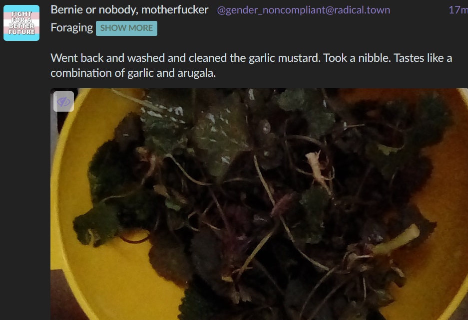 arugula.jpg