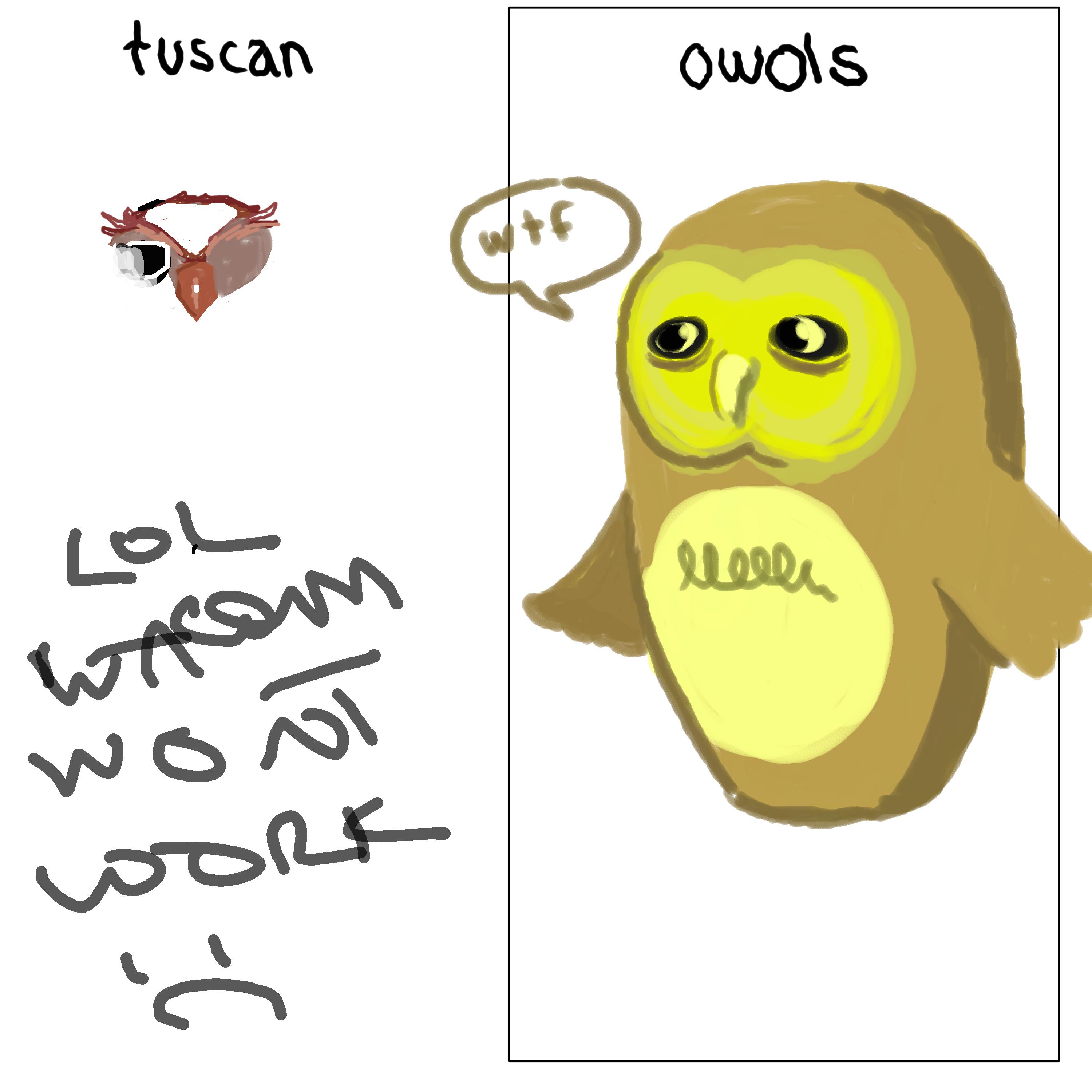as.jpeg