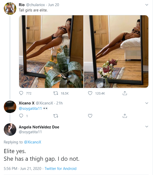 asfdsdgv.png
