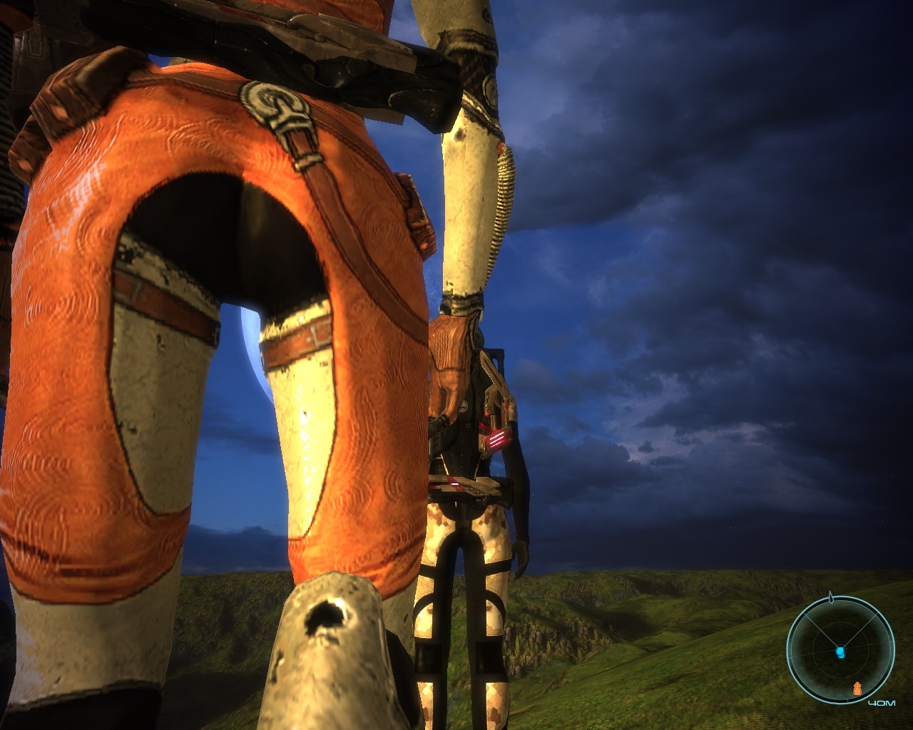 ass.jpg