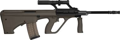 aug.jpg