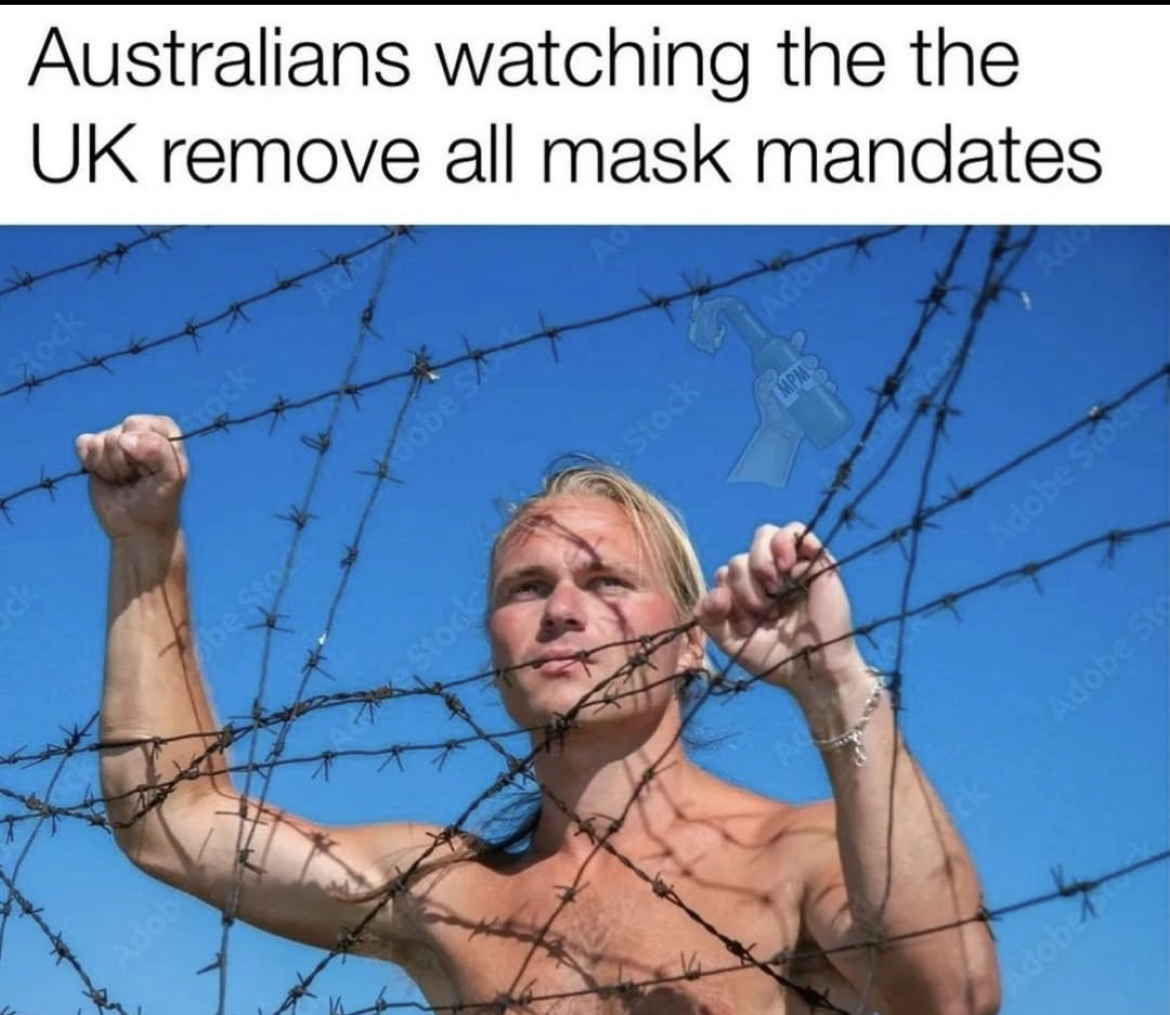 aussie.jpg