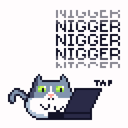 avatarcat.gif