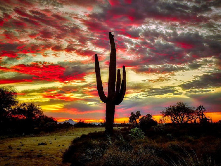az8.jpg
