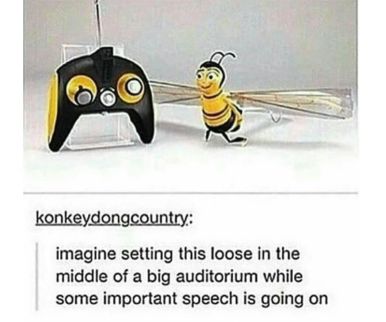 b.jpg