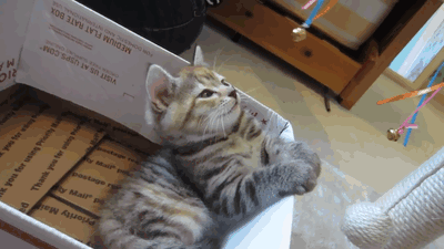B8lgMvH.gif