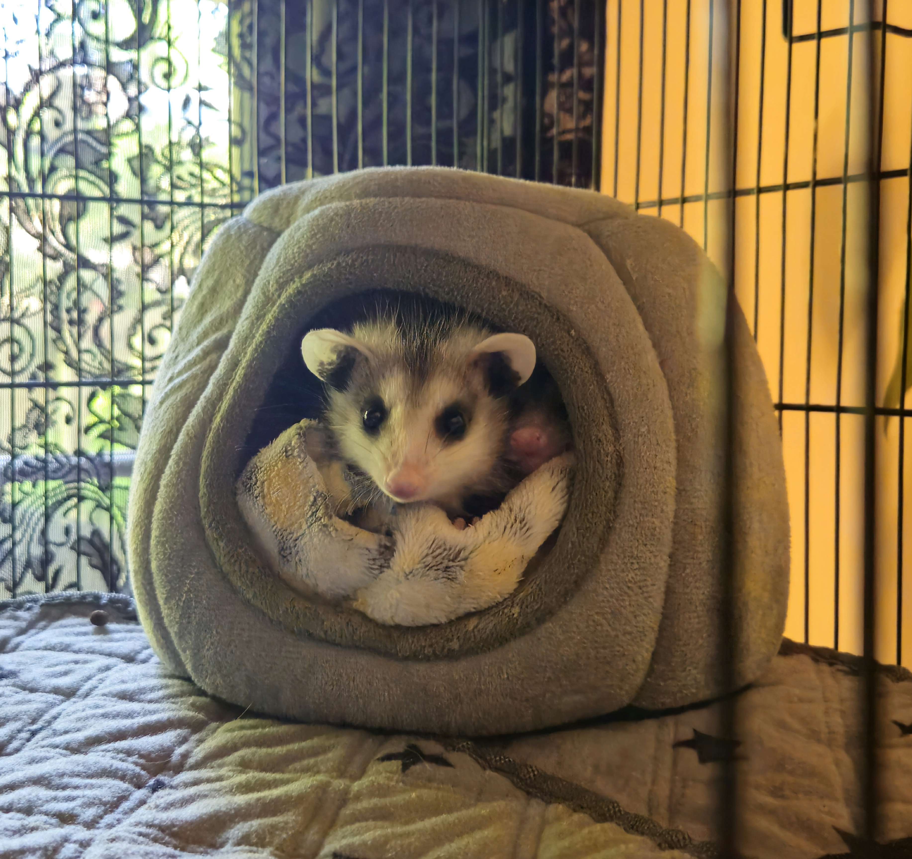 babby.jpg