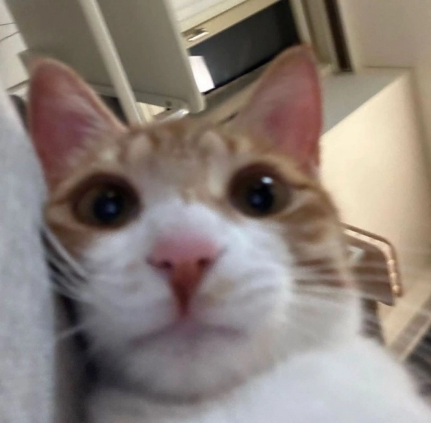 baby.png