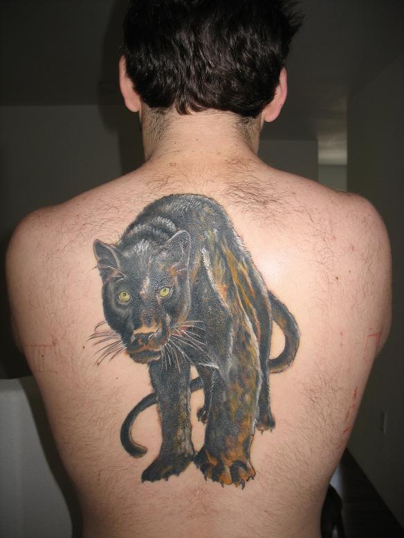 backpanther.jpg