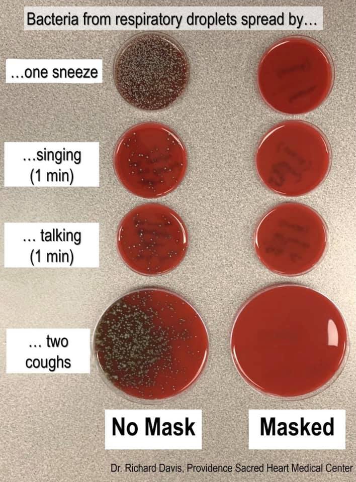 bacteria.jpg