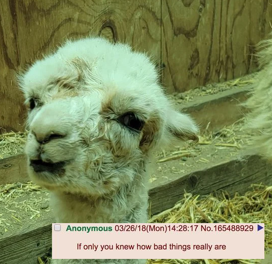 bad.png