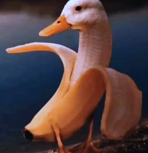 bananaduck.png