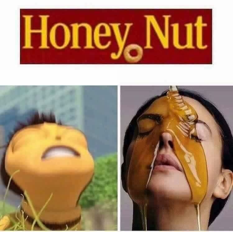 barry bee.jpg