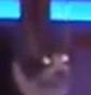 basedcat.png