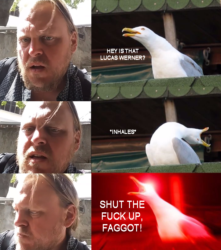 baseseagulls.jpg