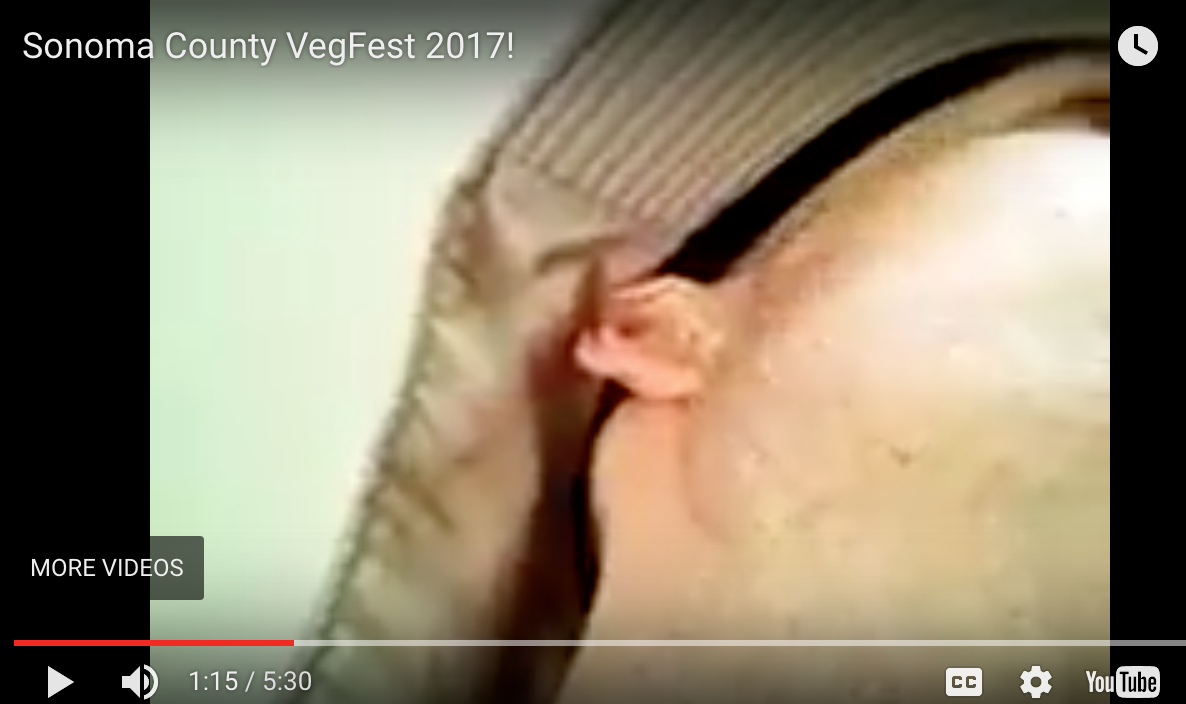 bat ear.png