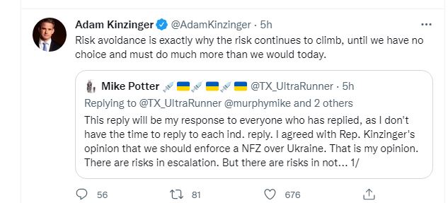 batshitkinzinger2.JPG