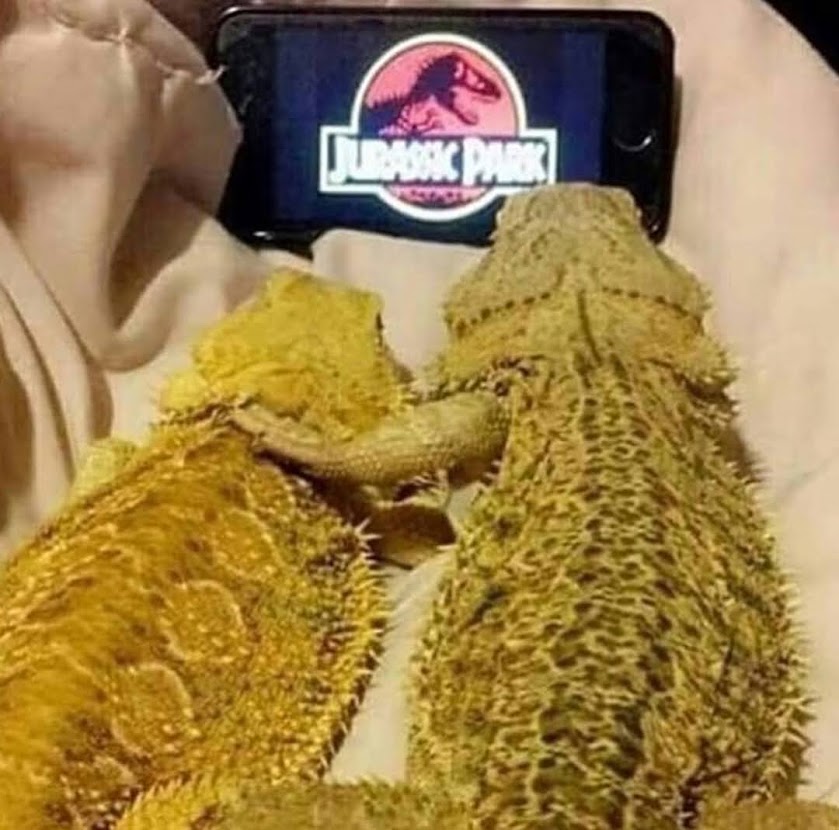 bbdinos.jpg