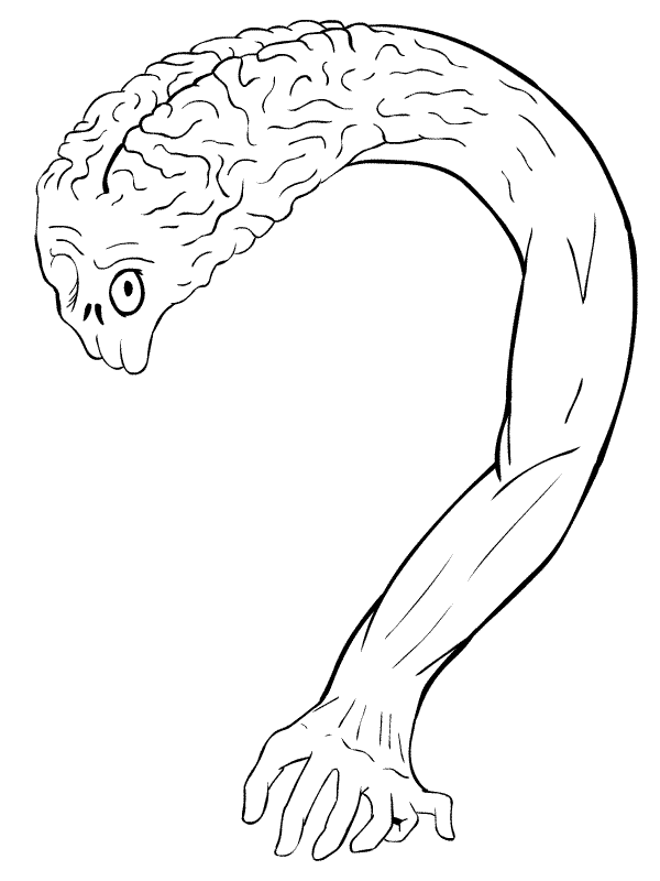 bbodytest.gif