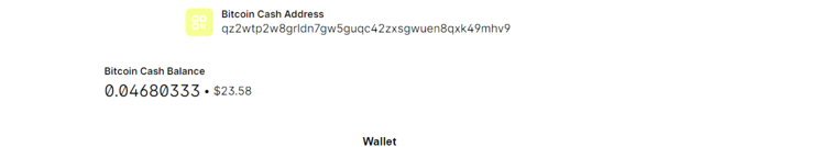 bch styx.png
