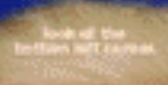 BE032598-9731-40ED-BC4E-4766035BEB39.jpeg