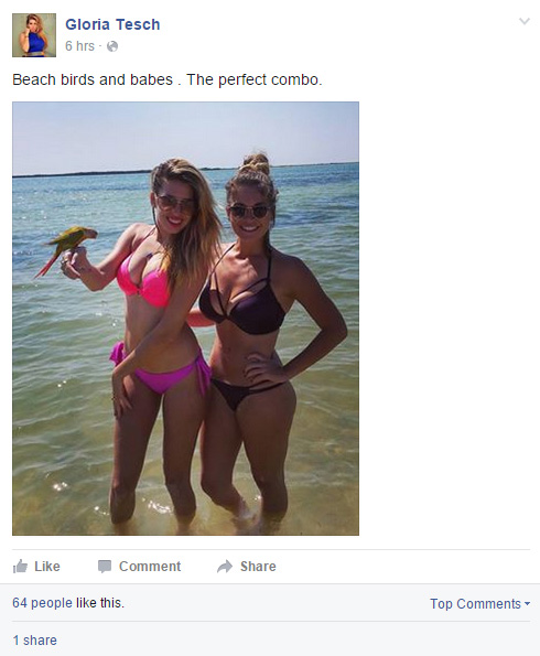 beachbird1.jpg