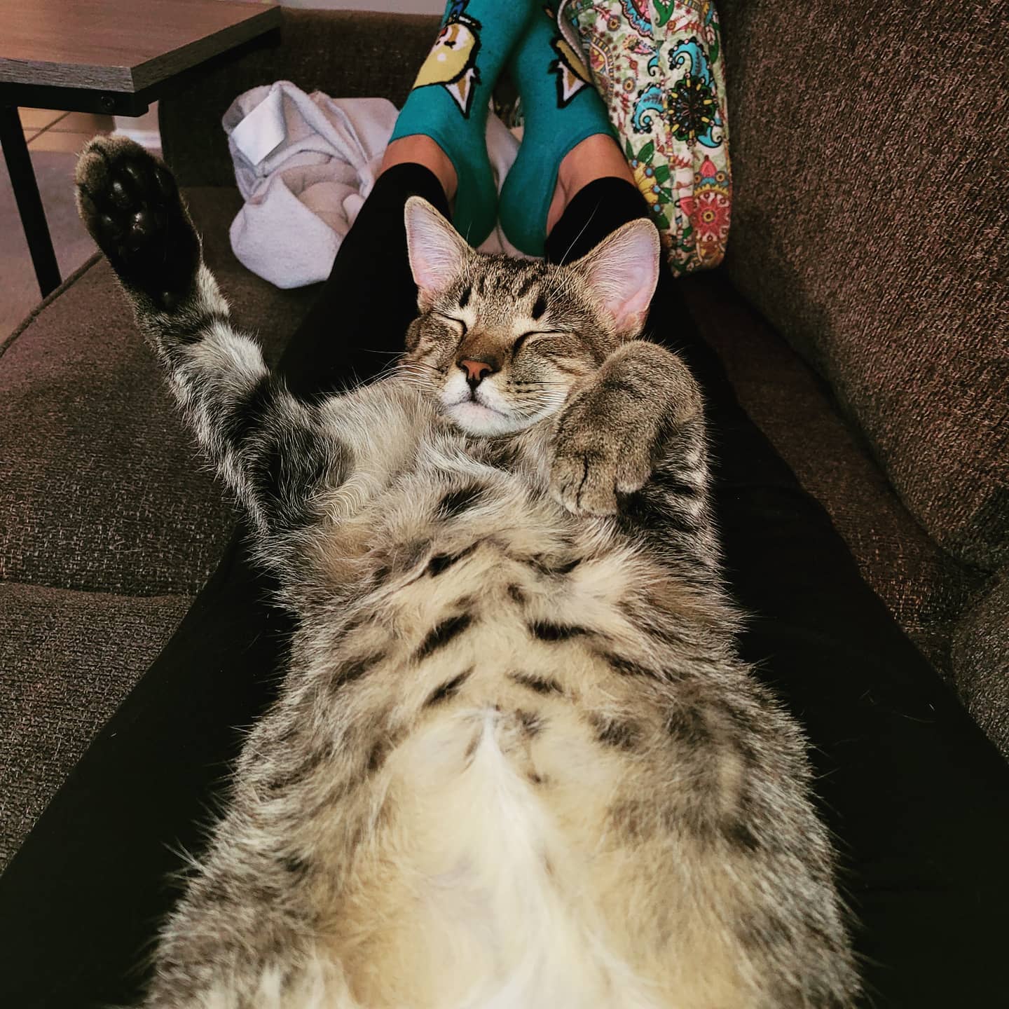 Beans Belly.jpg