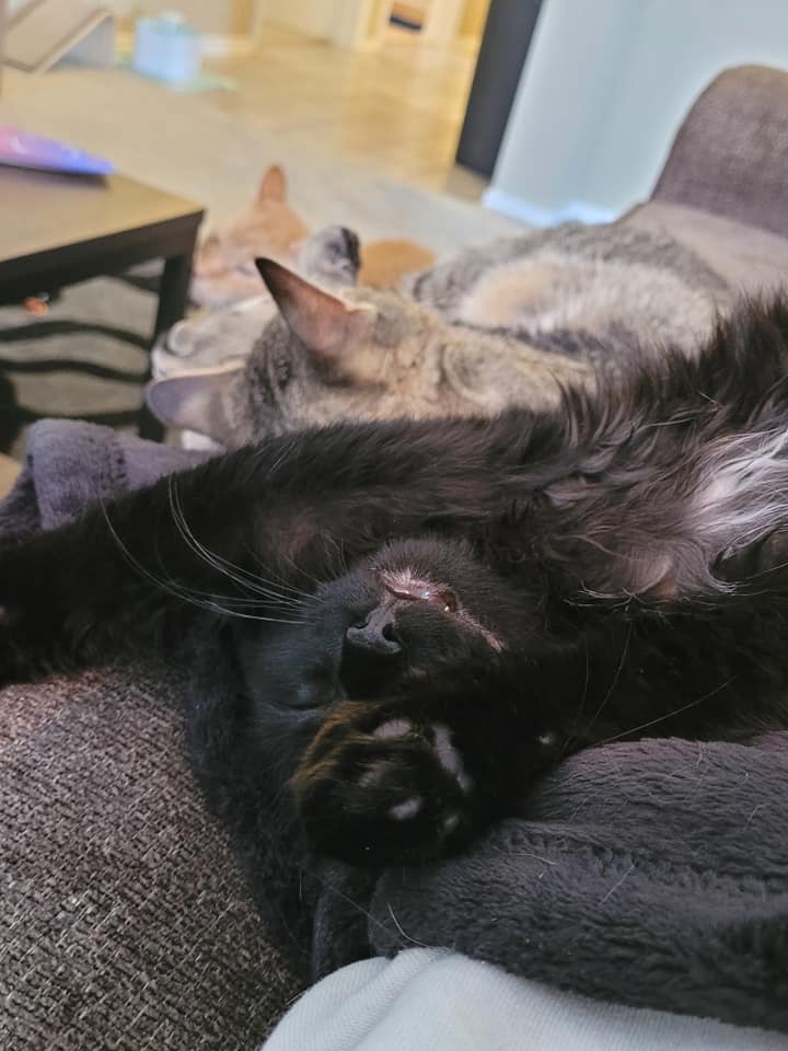 beansnboo.jpg