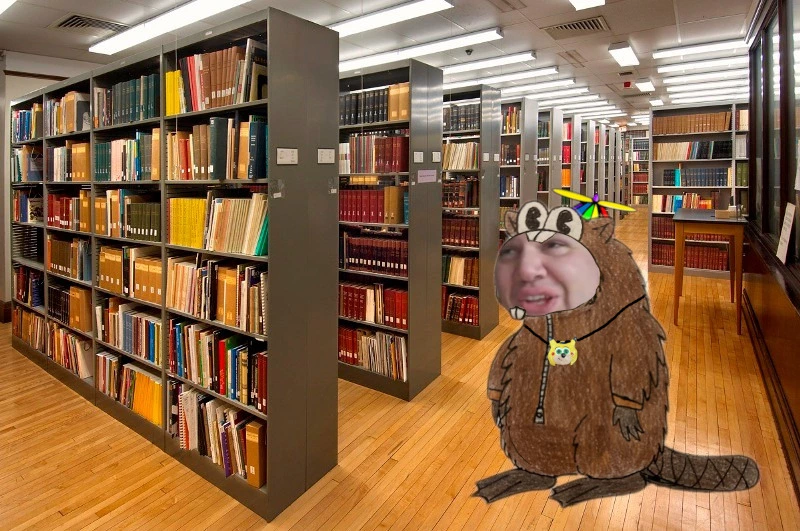 beavy at library.webp