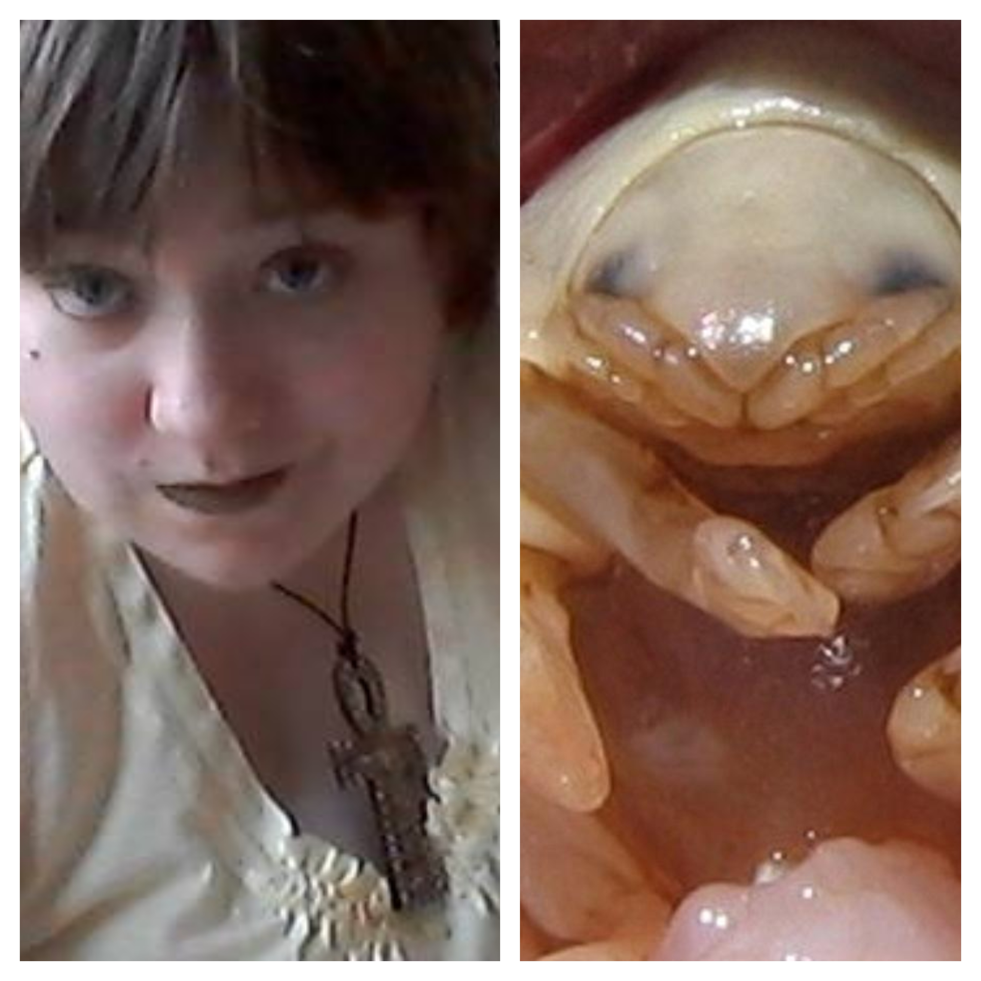 BeFunky-collage.jpg