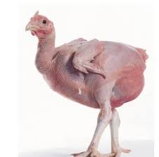 behold.jpg