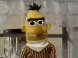 bert4.jpg