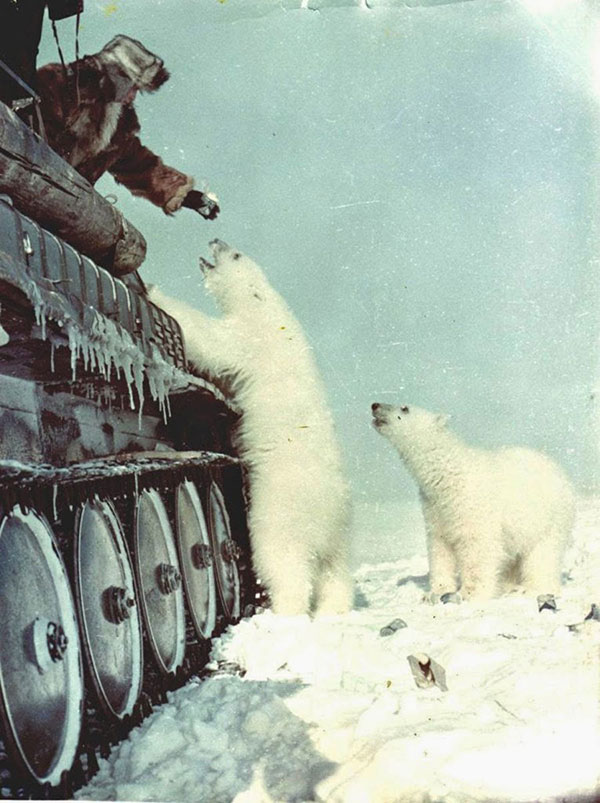 bf25.jpg