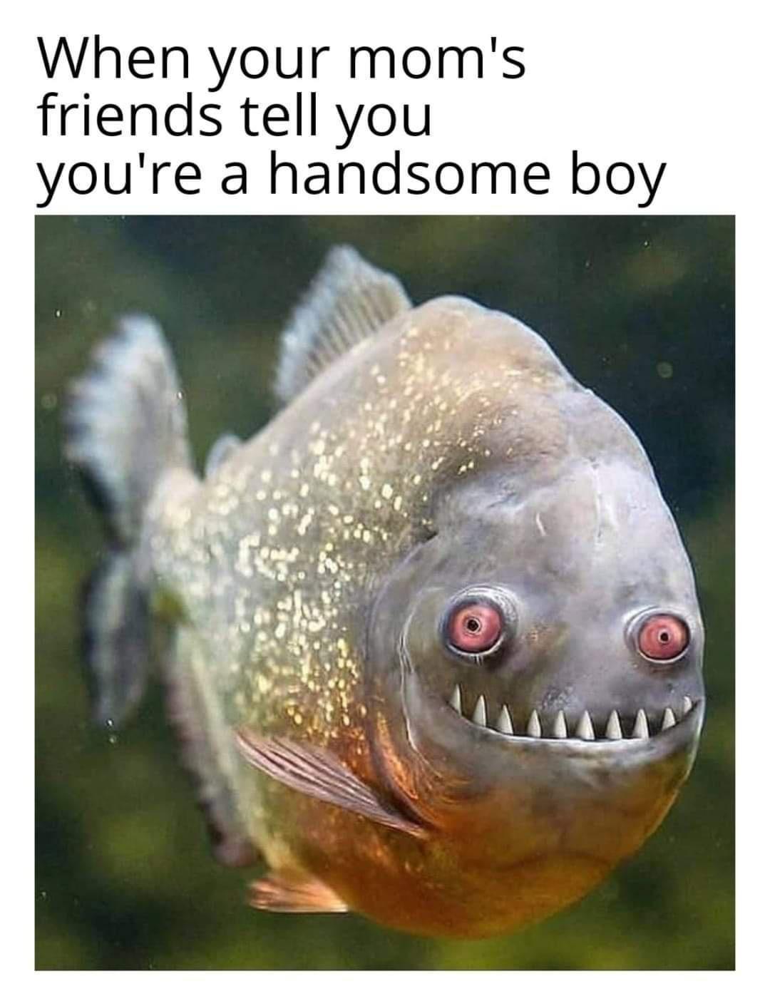 bf8d575ea61a222f01e32ea6bc180152dc52c2d3.jpeg