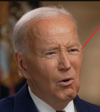 biden1.png