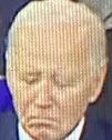 bidensad.png