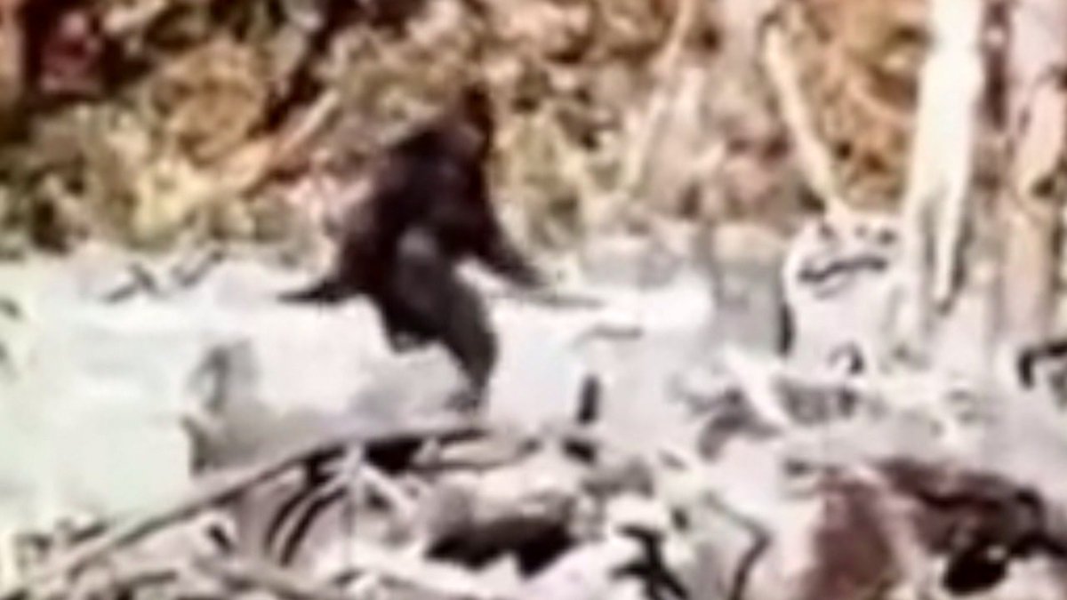 big-foot.jpeg