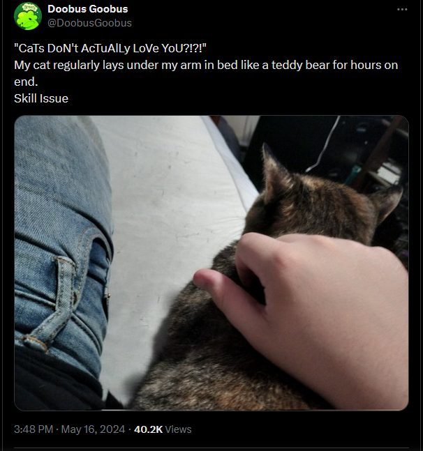 bigwhoop.png