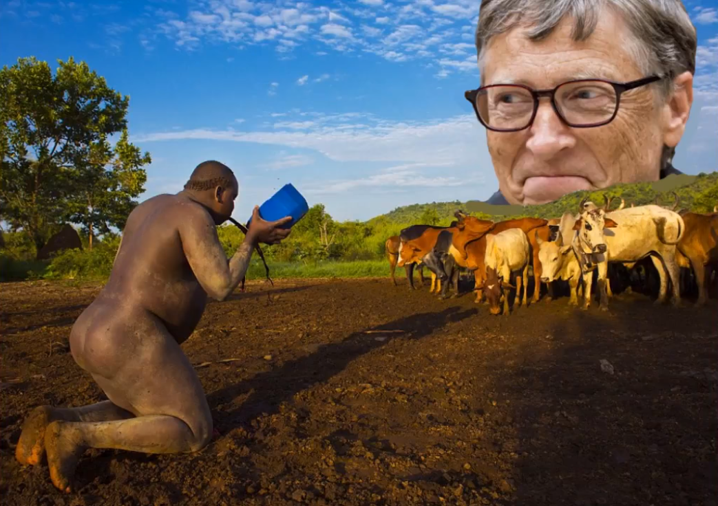 billygatescattle.png