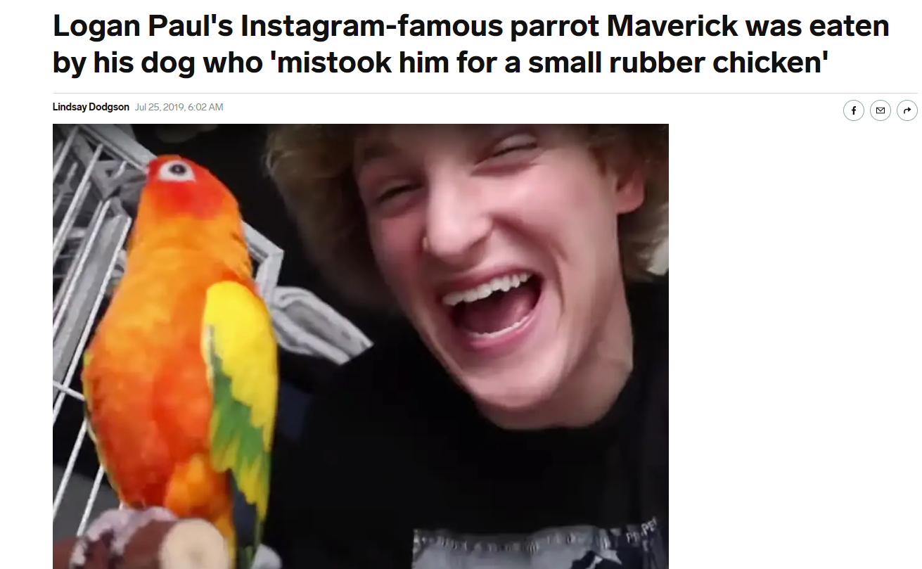 birb.PNG