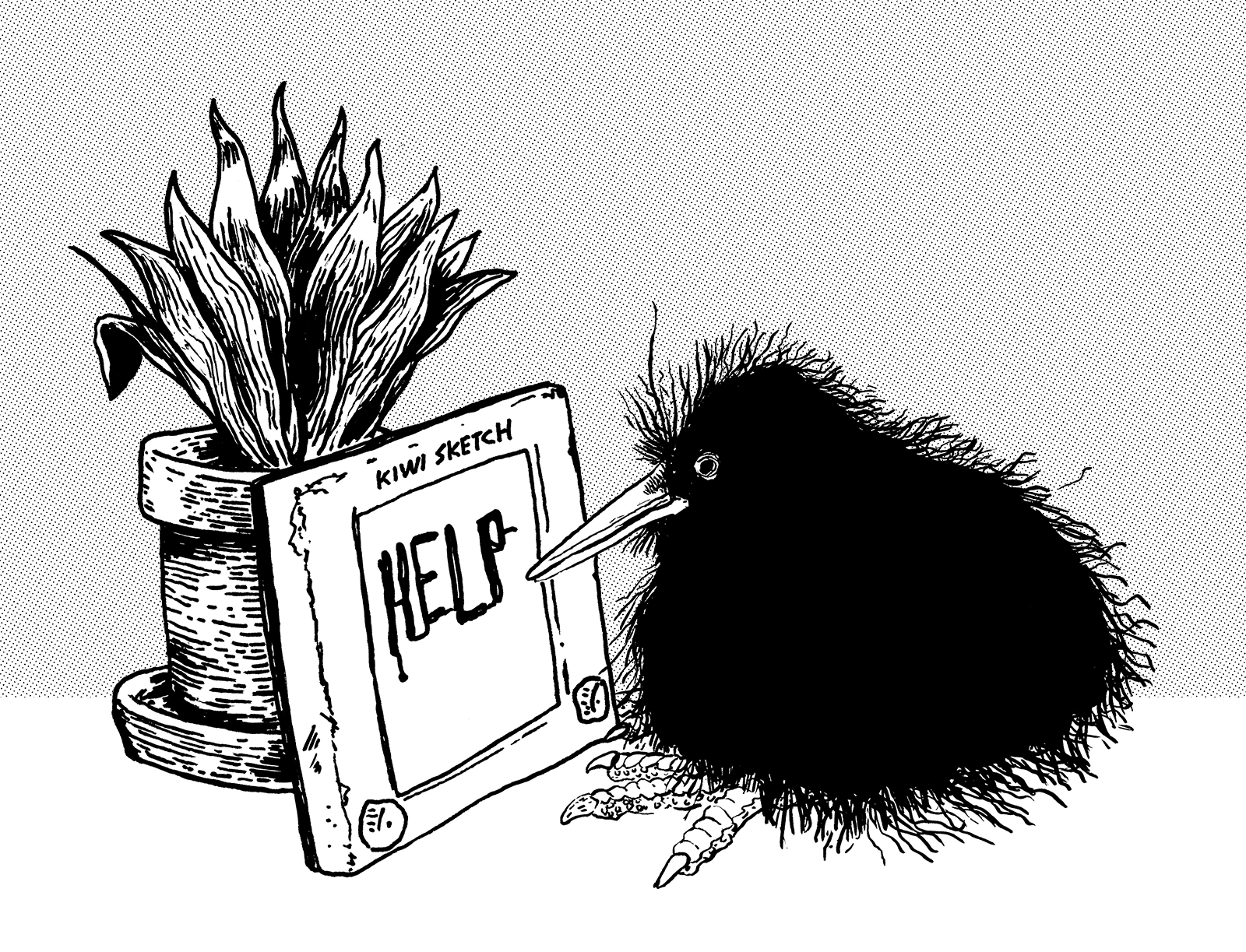 birb.png