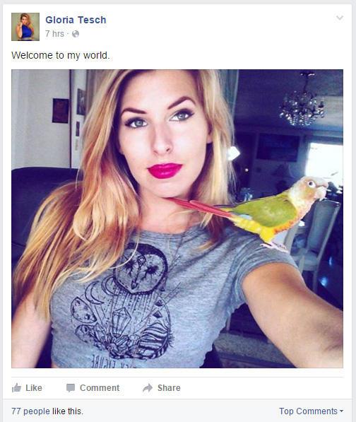 bird.jpg