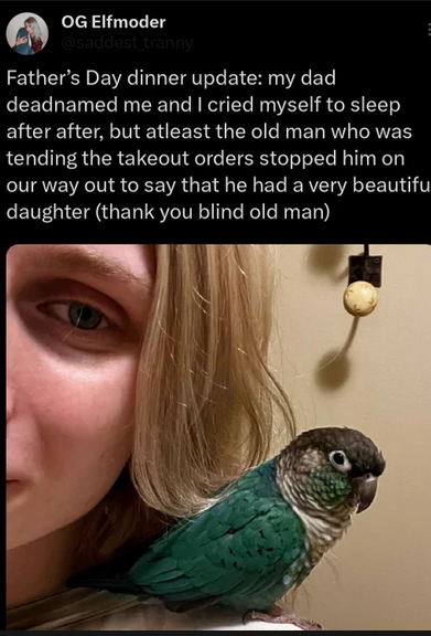bird.png
