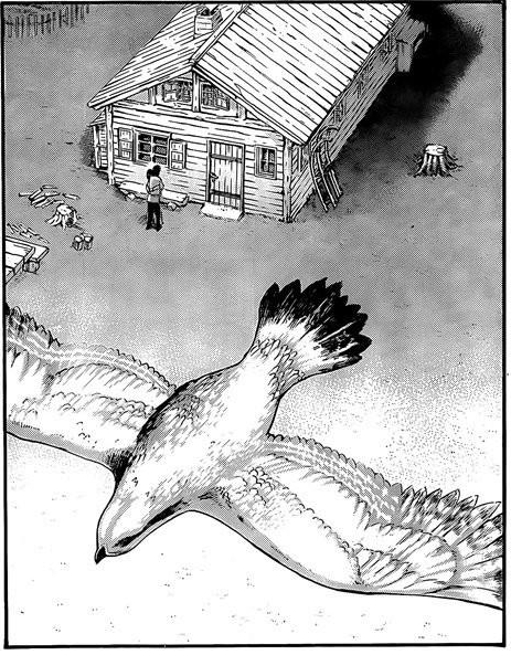 birds.png