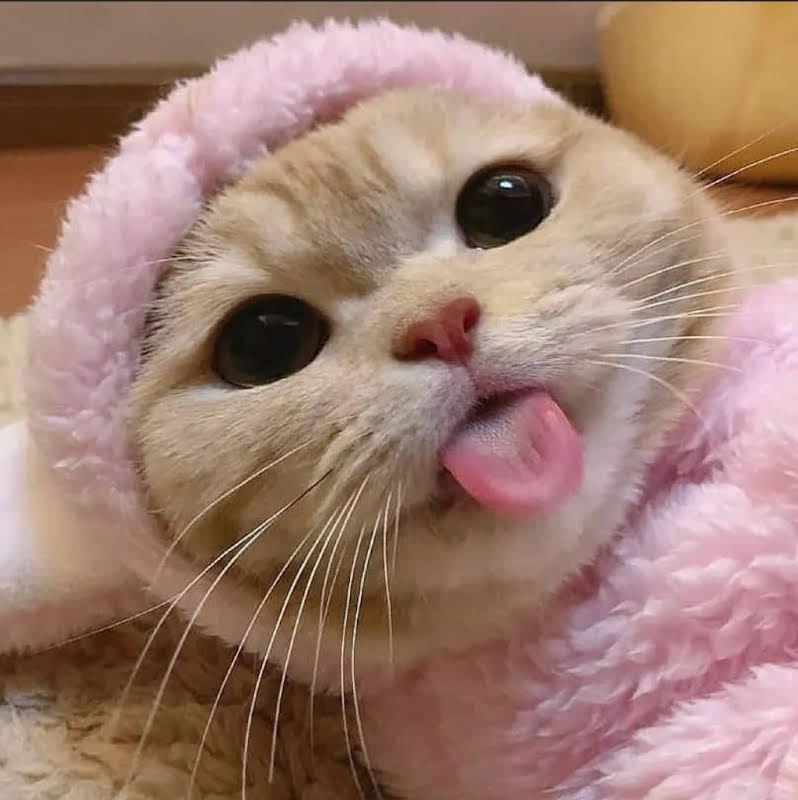 blep.jpg