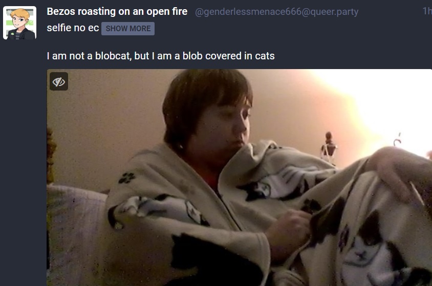 blobcat.jpg
