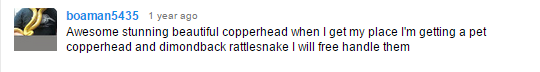 boatard.png