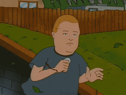 bobbyhillegg.gif