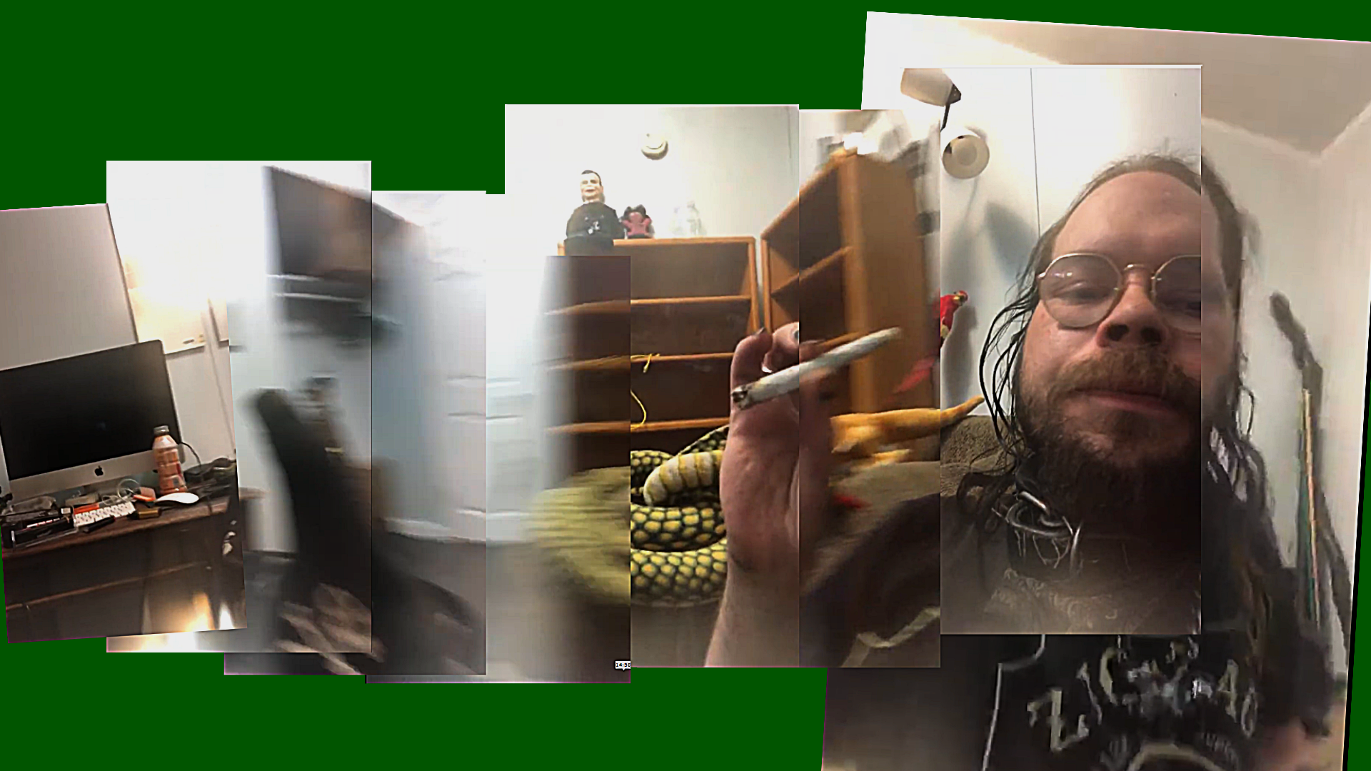 bog panorama.png