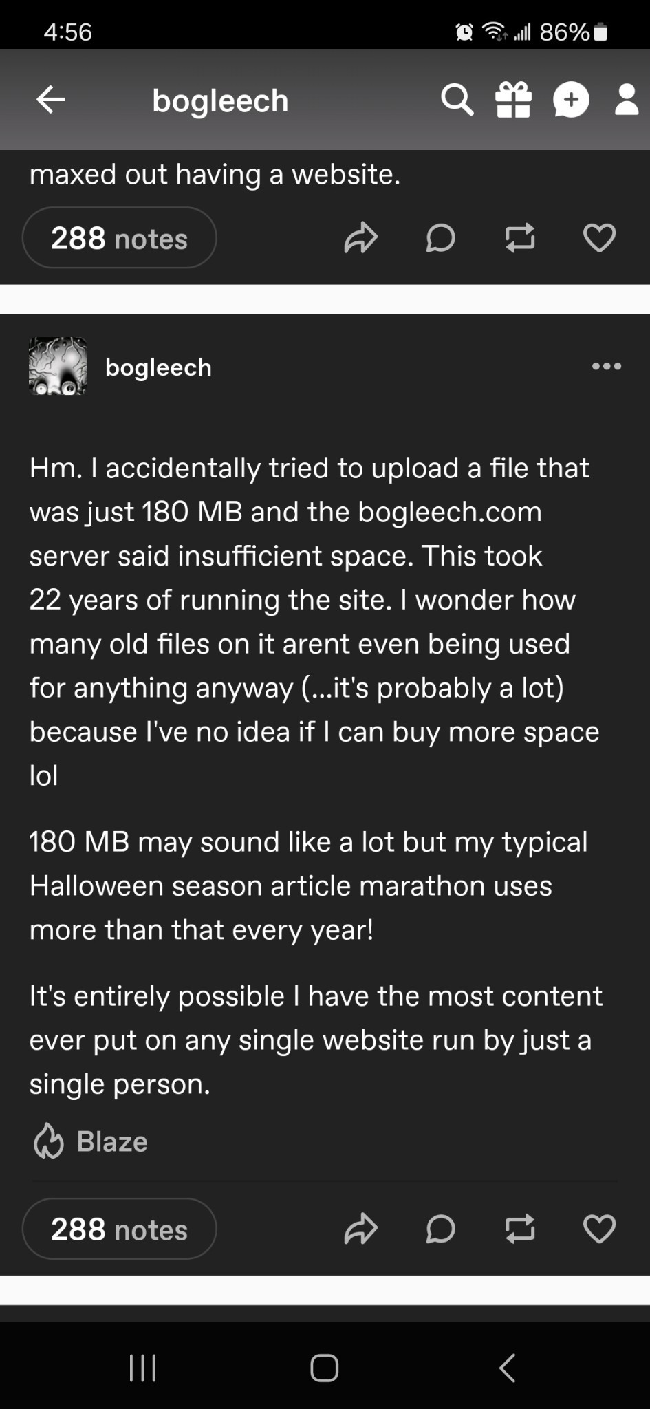 bog3.jpg